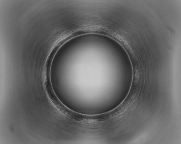 X0000115790582200911131310