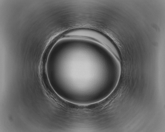 X0000115790583200911131310