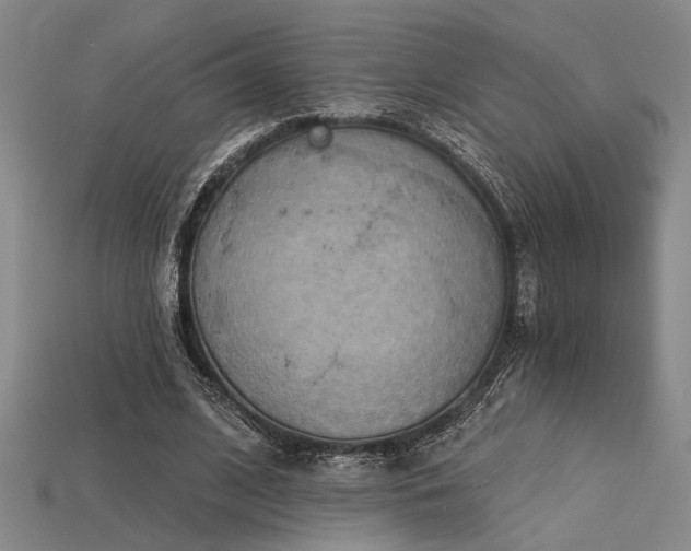 X0000115790584200911131310