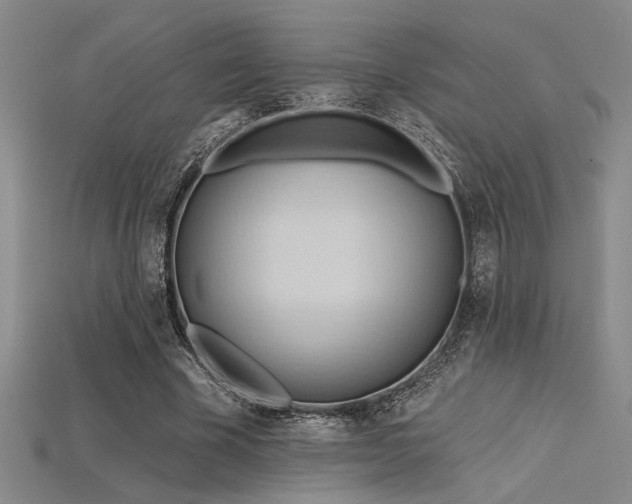 X0000115790585200911131310