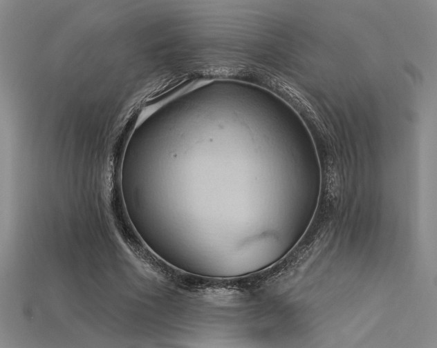 X0000115790586200911131310