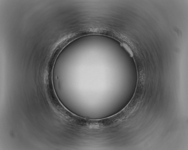 X0000115790587200911131310