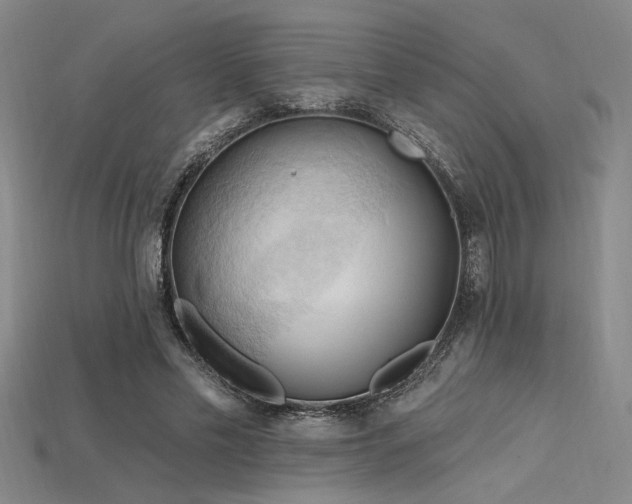 X0000115790589200911131310