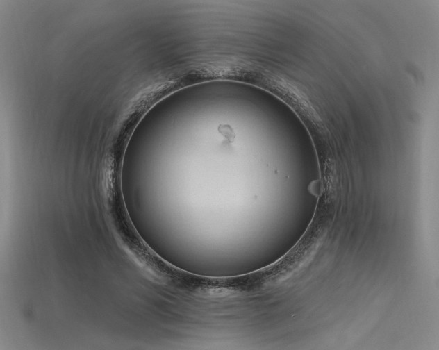 X0000115790590200911131310