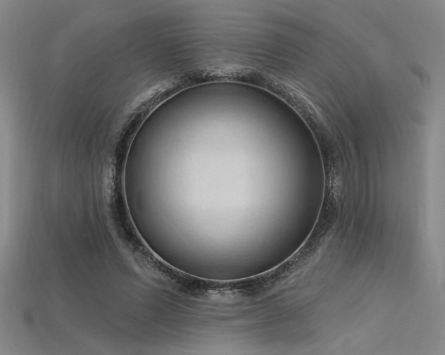 X0000115790591200911131310