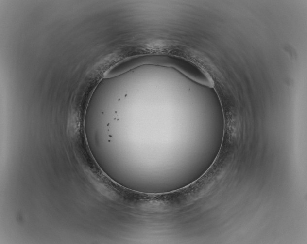 X0000115790593200911131310