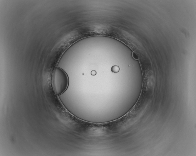 X0000115790595200911131310