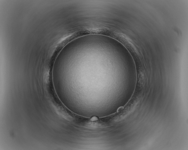 X0000115790596200911131310