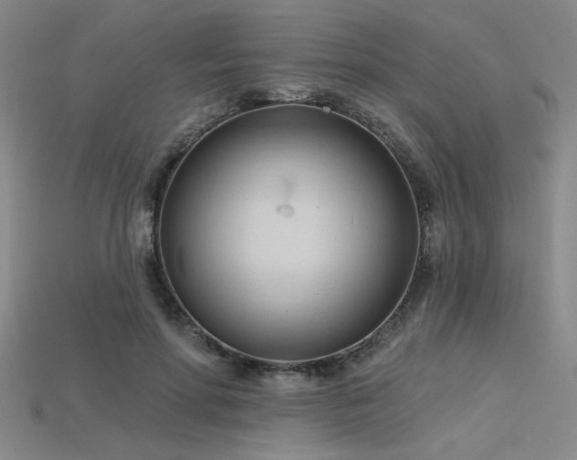 X0000115790598200911131310