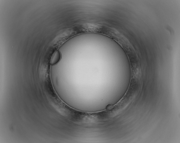 X0000115790599200911131310