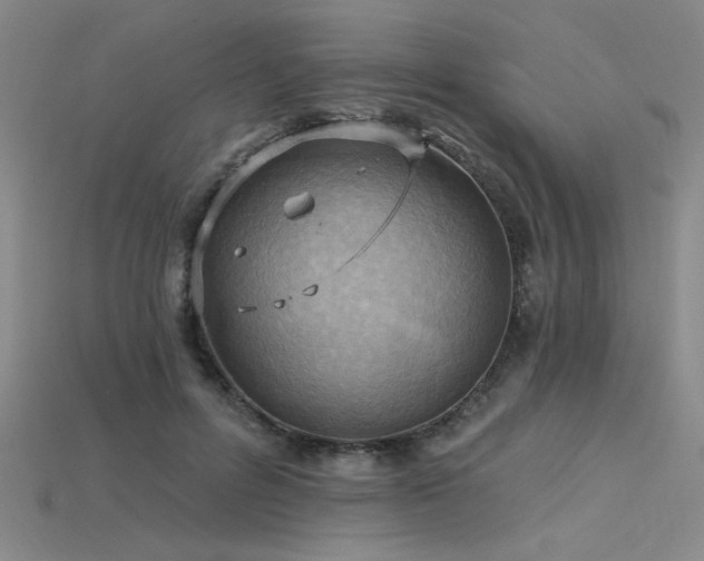 X0000115790600200911131310