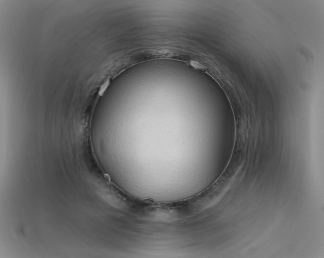 X0000115790601200911131310