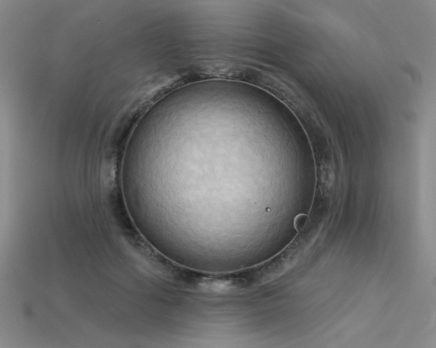 X0000115790602200911131310