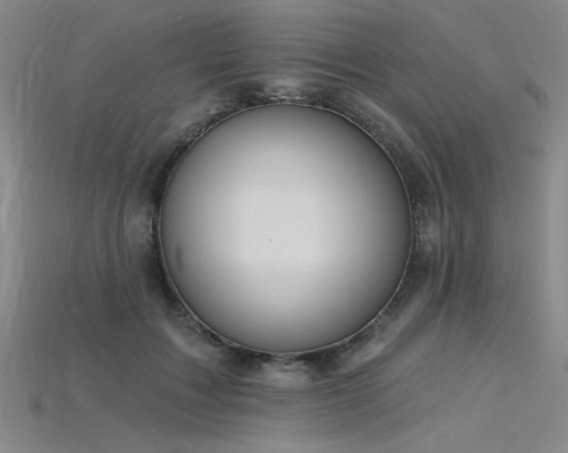 X0000115790603200911131310