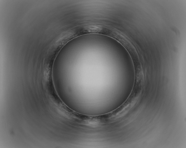 X0000115790604200911131310