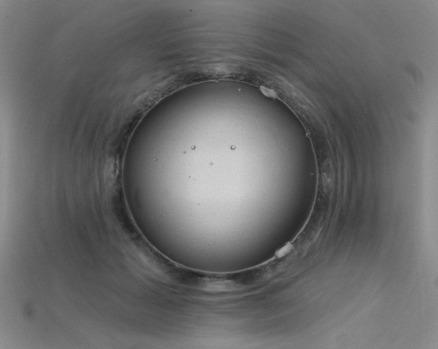 X0000115790605200911131310