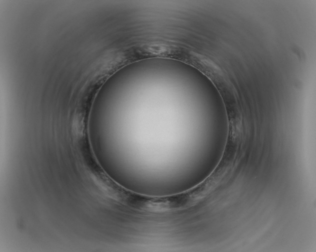 X0000115790606200911131310