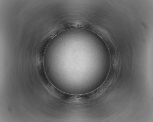 X0000115790607200911131310