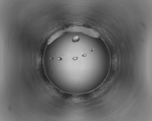 X0000115790608200911131310