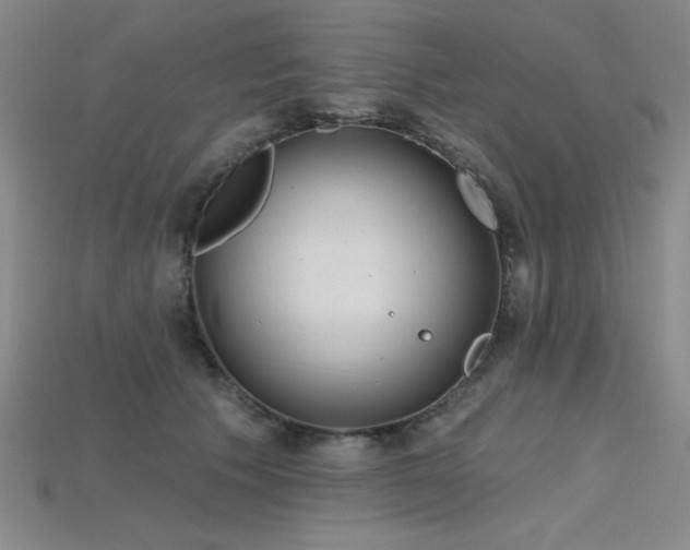 X0000115790609200911131310