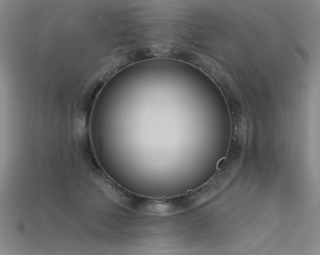 X0000115790610200911131310