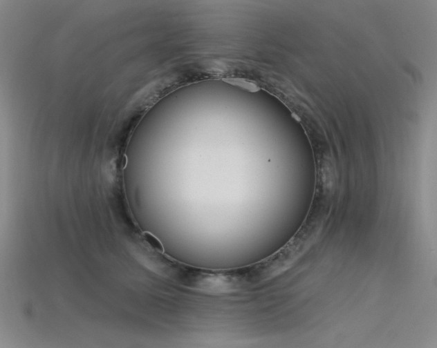 X0000115790611200911131310