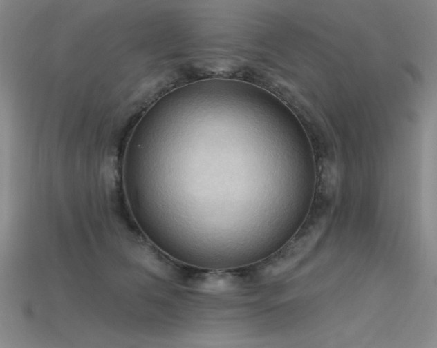 X0000115790612200911131310