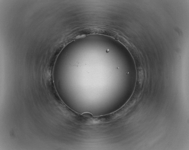 X0000115790613200911131310