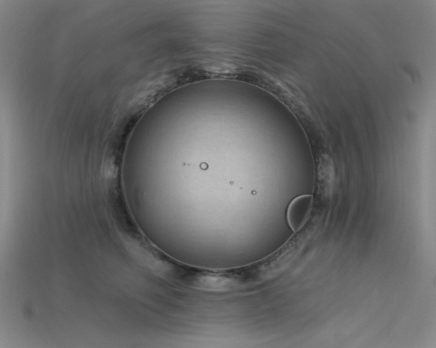 X0000115790614200911131309