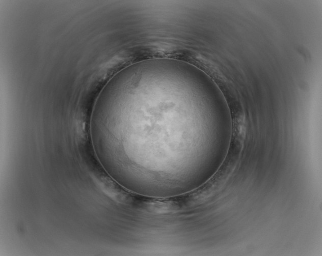 X0000115790615200911131309