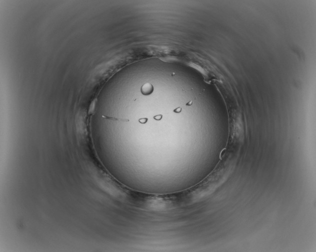 X0000115790616200911131309