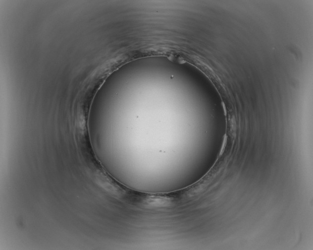 X0000115790617200911131309