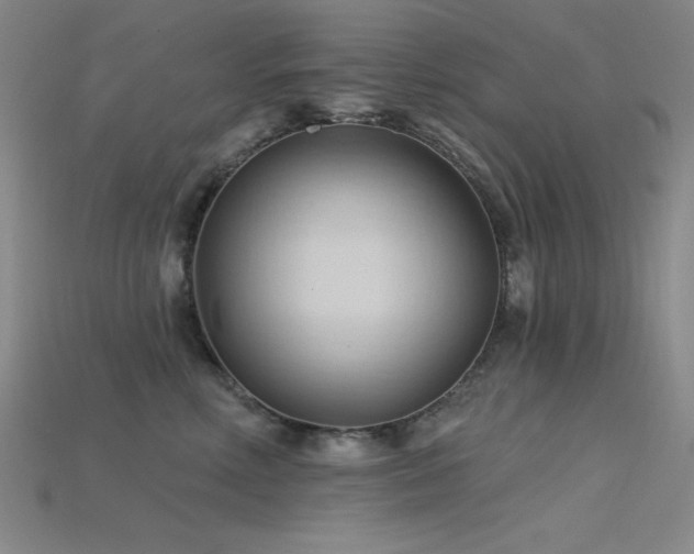 X0000115790618200911131309