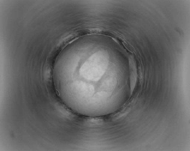 X0000115790619200911131309