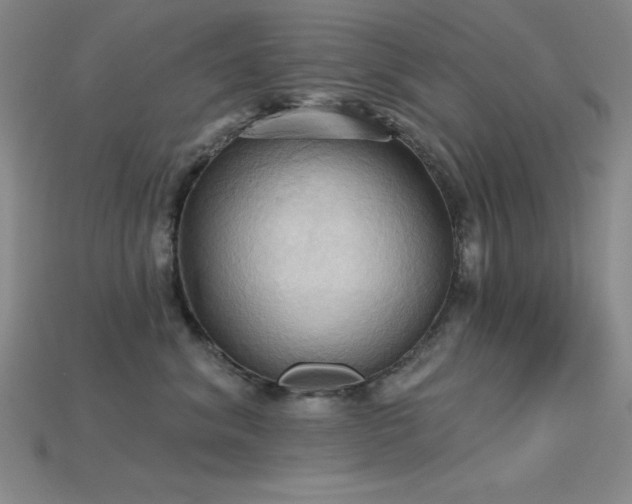 X0000115790620200911131309