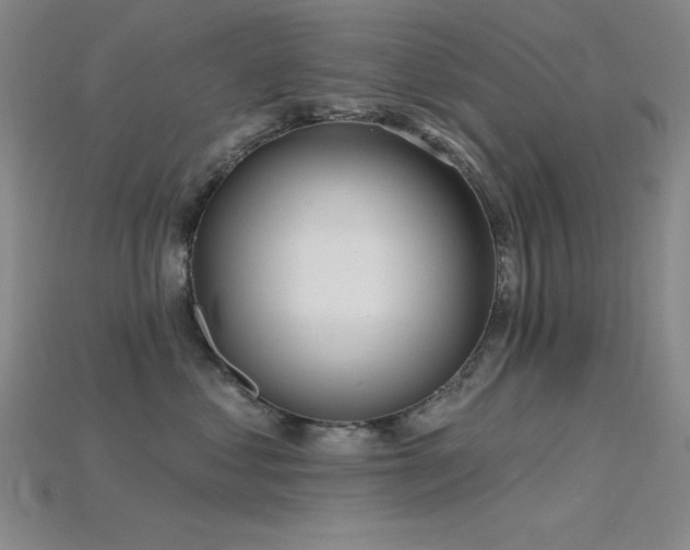 X0000115790621200911131309