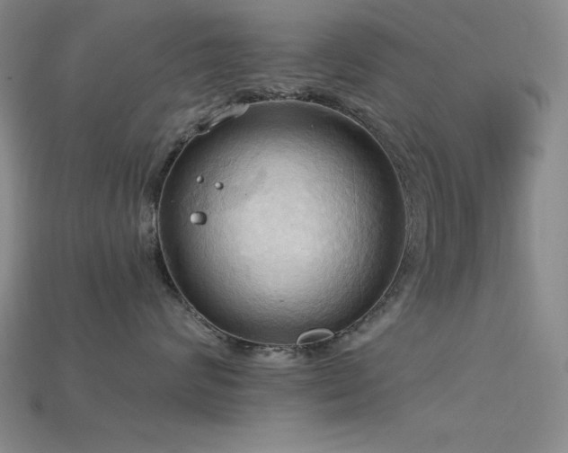 X0000115790624200911131309