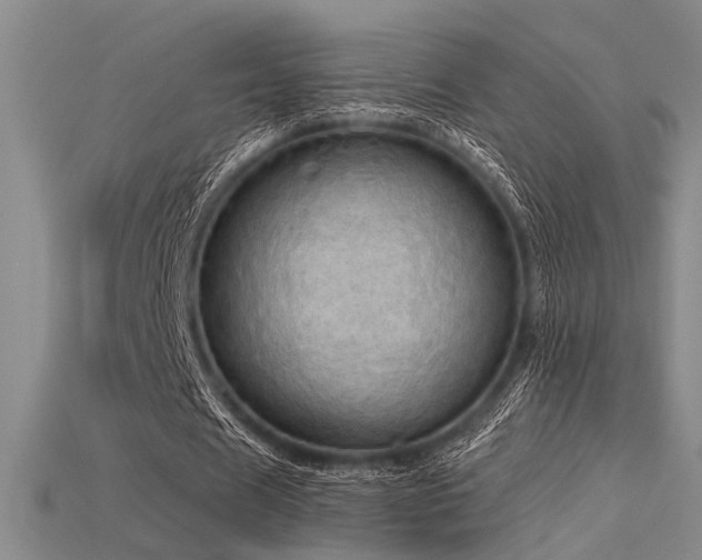 X0000115790625200911131309