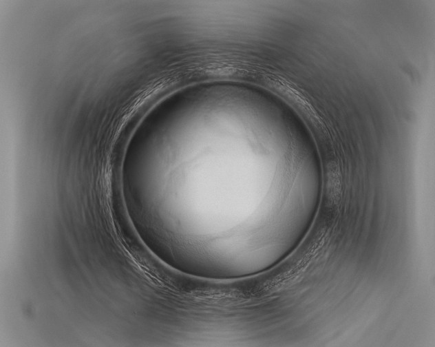 X0000115790626200911131309