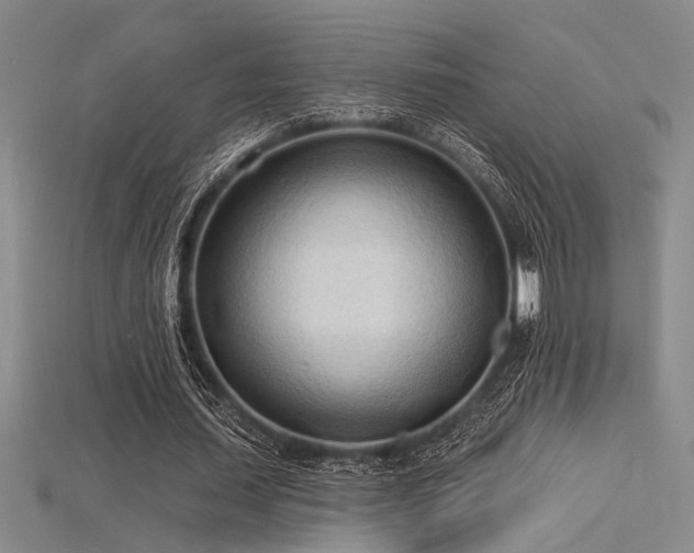 X0000115790627200911131309