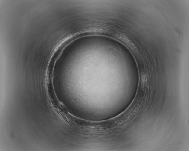 X0000115790628200911131309