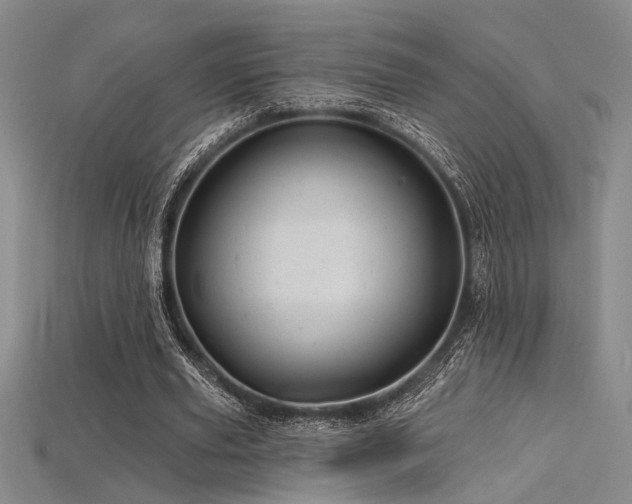 X0000115790629200911131309