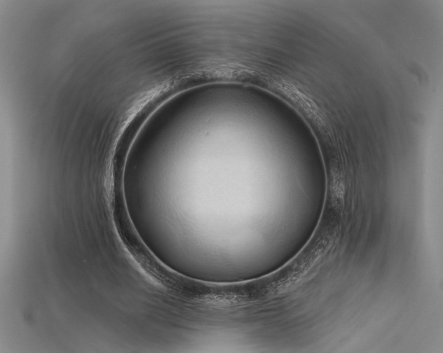 X0000115790630200911131309