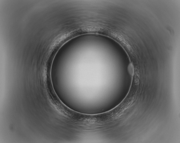 X0000115790631200911131309