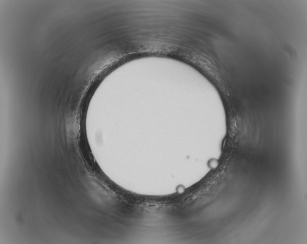 X0000115790632200911131309