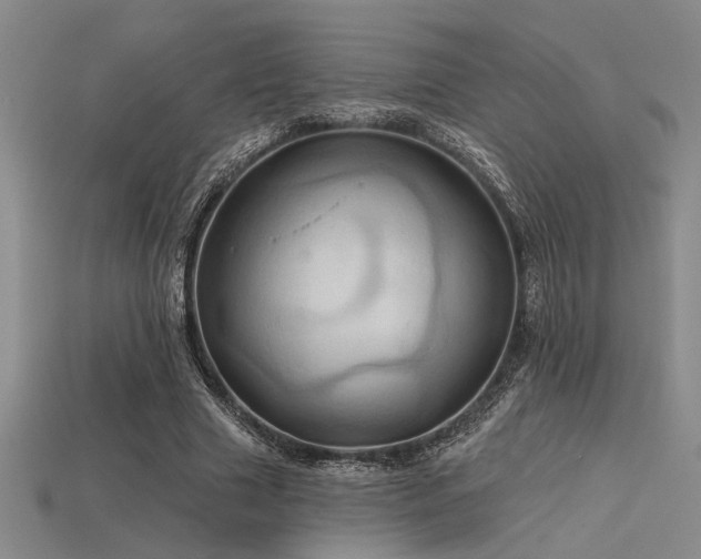 X0000115790633200911131309