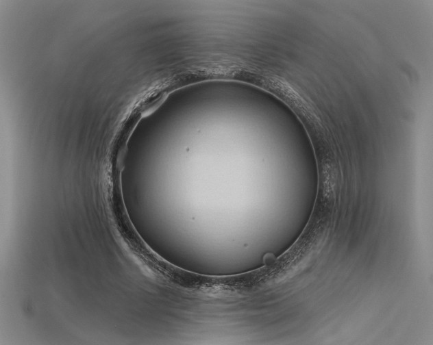 X0000115790634200911131309