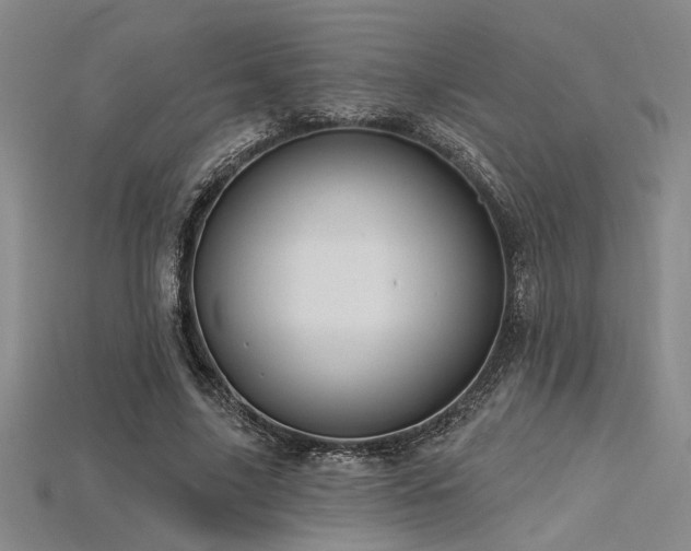 X0000115790635200911131309