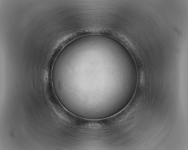 X0000115790636200911131309