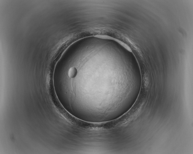 X0000115790637200911131309